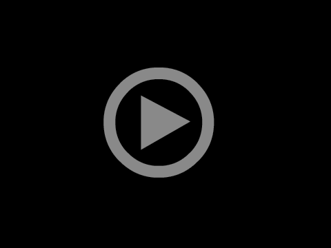 VIDEO AI